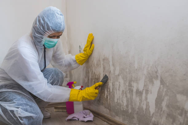 Best Mold Testing  in Winter Park, FL